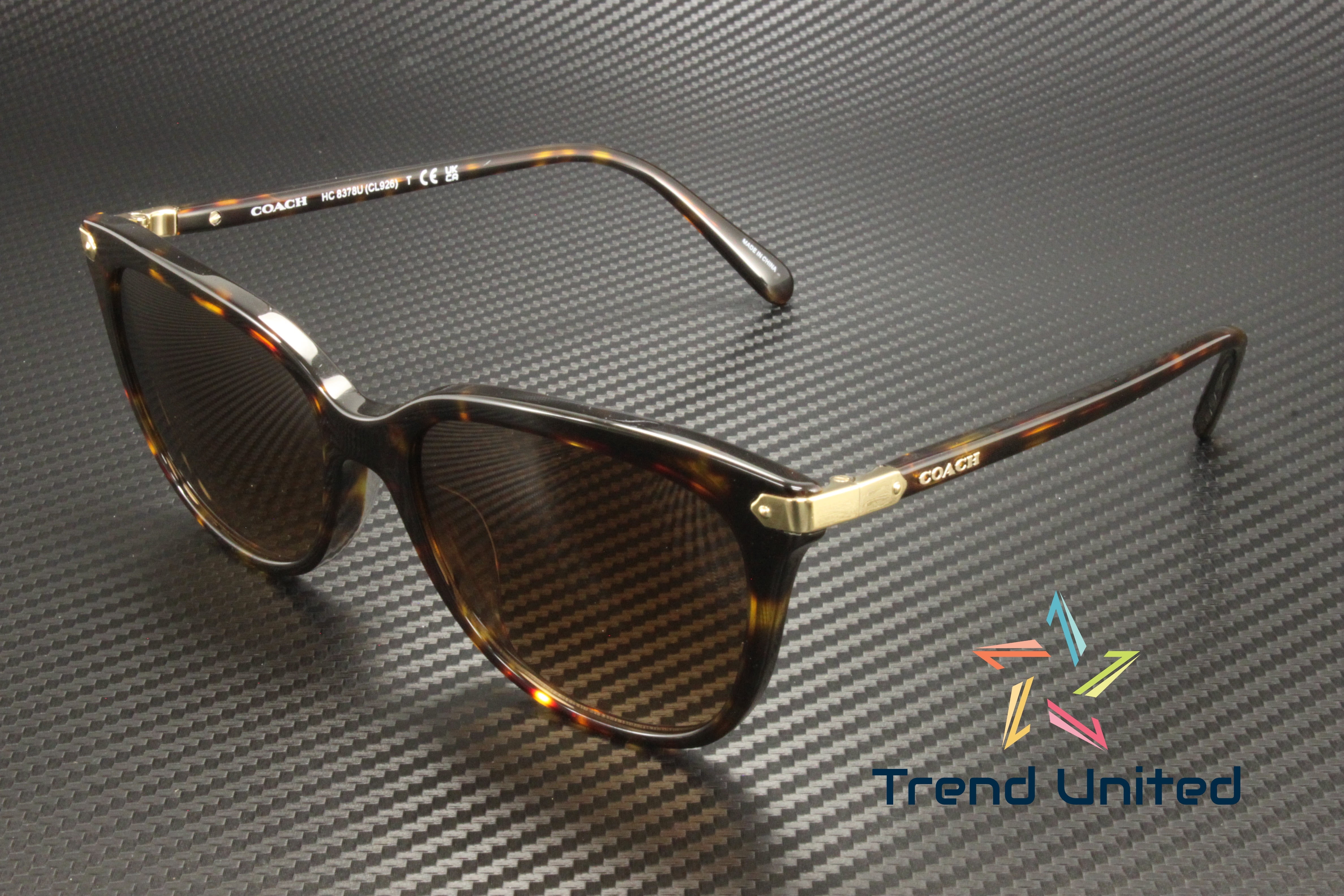 Coach HC 8378U Plastic Womens Cat-Eye Sunglasses Dark  display picture 1