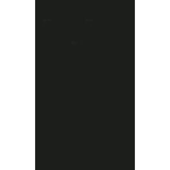 Pre-Owned COACHING MASTERY: The Ultimate Blueprint for Tennis Coaches, Tennis Parents, and Tennis Teaching Professionals (Paperback) 0974902616 9780974902616