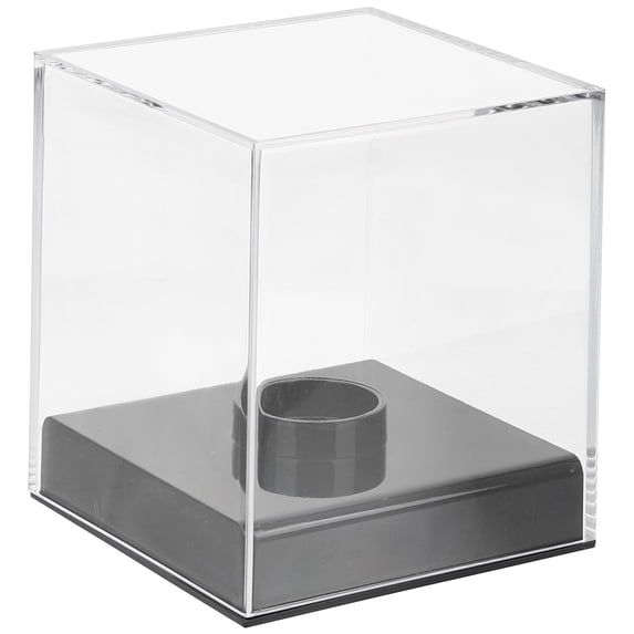 GOOHOCHY 1Pack Clear Display Case For Office Use Decorative Home 4.32X3.93X3.93in