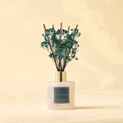 COCORRÍNA Cashmere Vanilla Reed Diffuser Set, 6.7 fl oz Glass Bottle with Dried Flower, Long Lasting Fragrance for Home Bedroom Bathroom Office Decor, Gift