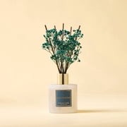 COCORR NA Cashmere Vanilla Reed Diffuser Set, 6.7 fl oz Glass Bottle with Dried Flower, Long Lasting Fragrance for Home Bedroom Bathroom Office Decor, Gift