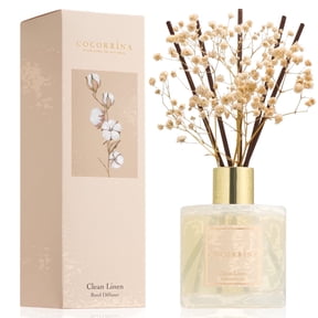 COCORRÍNA Clean Linen Reed Diffuser Set, 6.7 fl oz Glass Bottle with Dried Flower, Long Lasting Fragrance for Home Bedroom Bathroom Office Decor, Gift