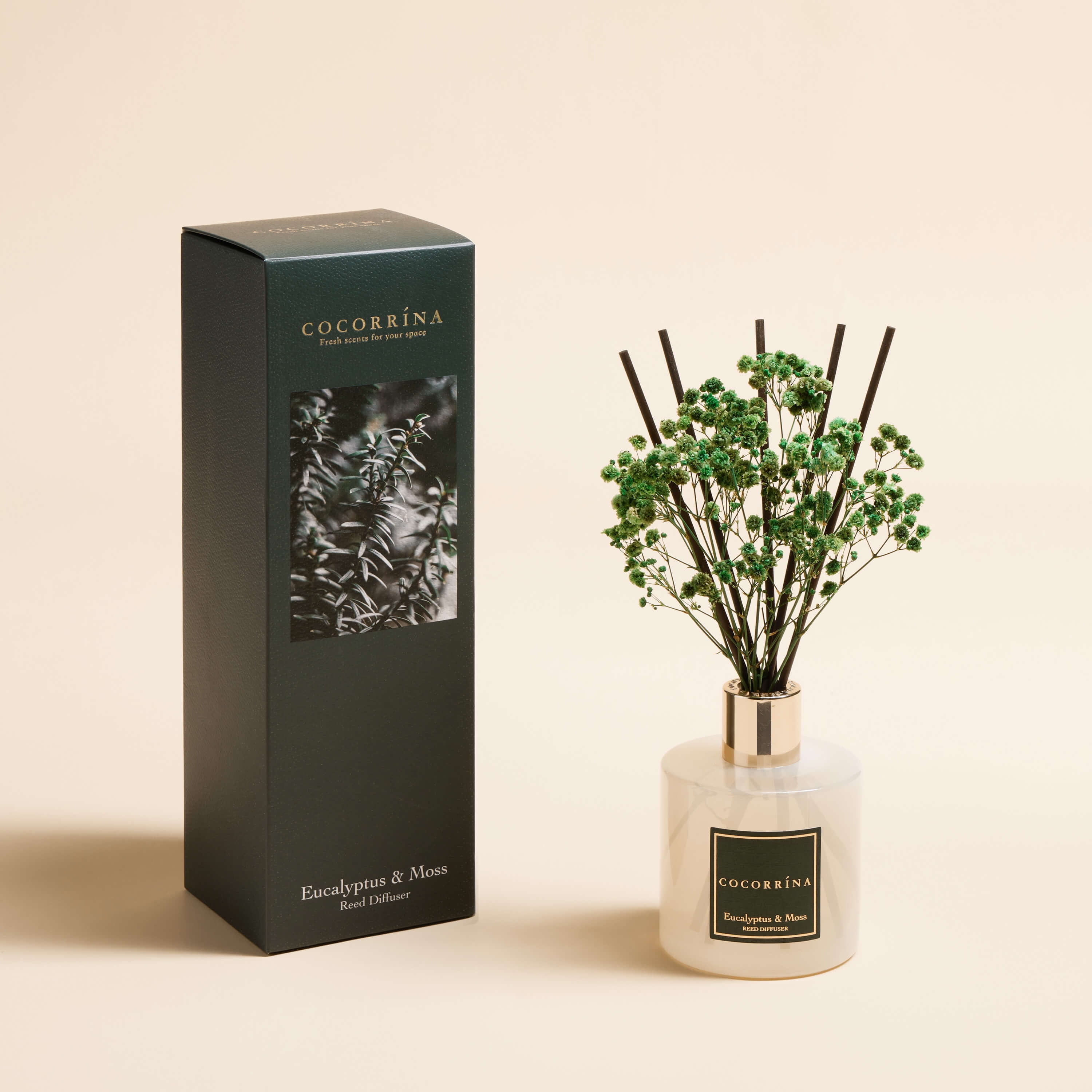 COCORRÍNA Eucalyptus & Moss Reed Diffuser Set - Walmart.com