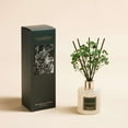 thumbnail image 1 of COCORRÍNA Eucalyptus & Moss Reed Diffuser Set, 1 of 4