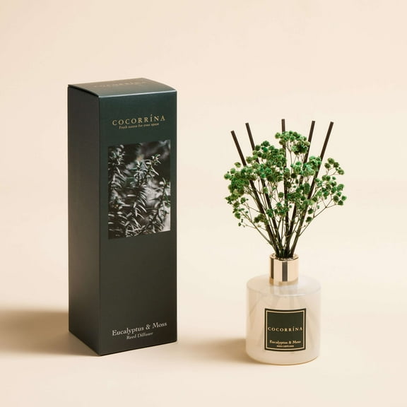 COCORRNA Eucalyptus & Moss Reed Diffuser Set