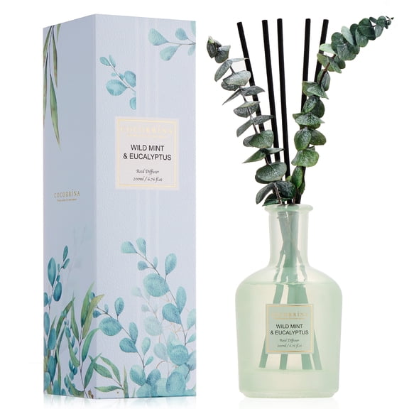 COCORRÍNA Wild Mint&Eucalyptus Reed Diffuser Set