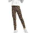 thumbnail image 1 of COEQINE Brown Leopard Print Girls Yoga Leggings Pants Full Length Athletic Trousers High Waist Tummy Control, for 6-7 Years Kids, 1 of 7