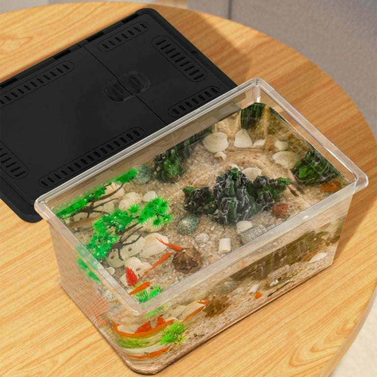 COFEST Mini Fish Box Aquarium Isolation Tank for Small Fish, PVC Plastic  Breeding Incubators for Aquariums, Adjustable Indoor Mini Fish Tank with  Lid Black - Walmart.com