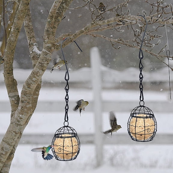 COFEST Outdoor Hanging Bird Cage Feeder - Durable Iron Bird Feeder for Garden & Yard, Spring Design, Set of 2, Attracts Birds with Transparent Viewing Window Black