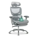 thumbnail image 1 of AFO Ergonomic Mesh Office Chair with Footrest – High-Back Executive Desk Chair with Adjustable Headrest, 3D Armrests, Lumbar Support & Tilt Lock – Grey, 1 of 9