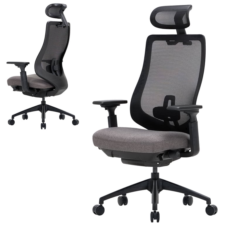COLAMY ATLAS-01 Ergonomic Office Chair, High Back Office Executive