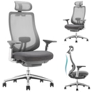 COLAMY Ergonomic Mesh Office Chair with Lumbar Support, 4D Armrests, Adjustable Headrest, 360° Swivel, High Back, Dark Grey