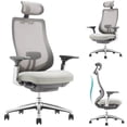 thumbnail image 1 of COLAMY ATLAS Ergonomic Mesh Office Chair, High Back Computer Executive Desk Chair with Adjustable Headrest and 4D Arms, Slide Seat, Tilt Lock-Light Grey, 1 of 10