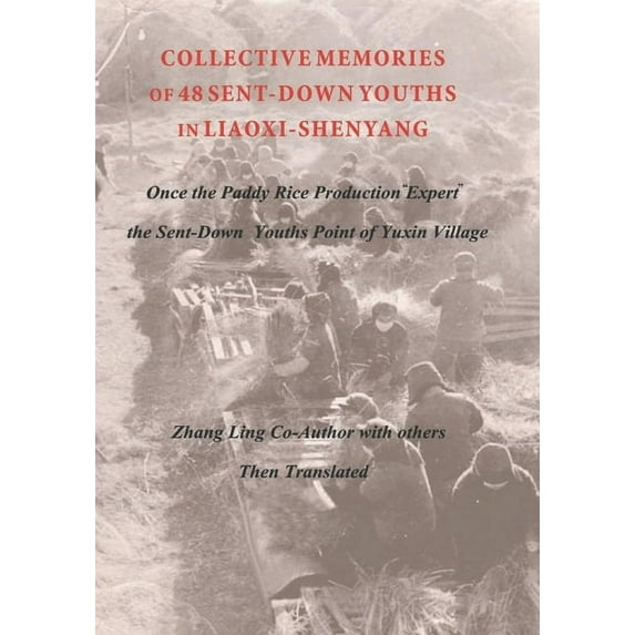 COLLECTIVE MEMORIES OF 48 SENT-DOWN YOUTHS IN LIAOXI-SHENYANG Once the Paddy Rice Production "Expert" the Sent-Down Youths Point of Yuxin Village (Paperback)