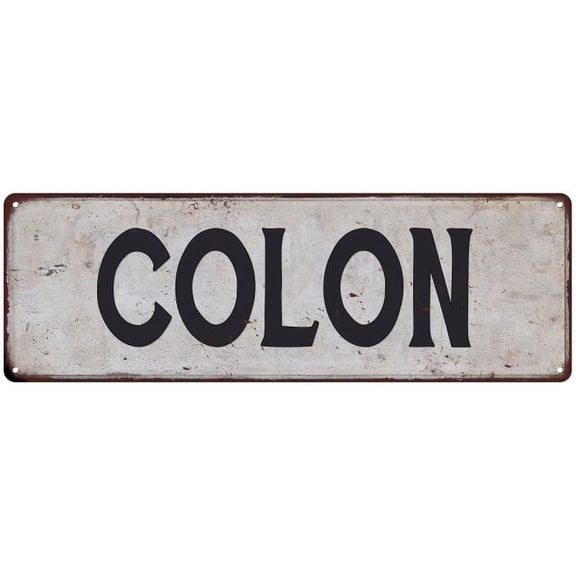 COLON Vintage Look Rustic Chic Metal Sign 6x18 106180036264