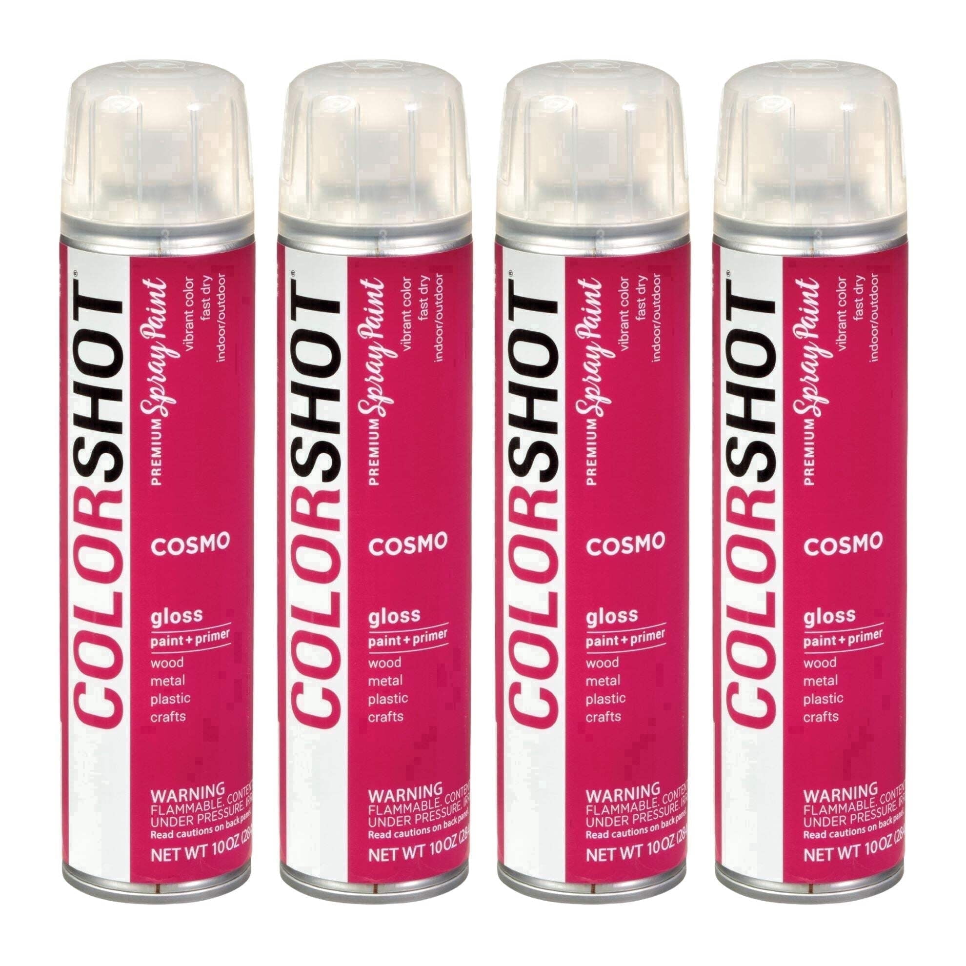 COLORSHOT Gloss Spray Paint, Cosmo (Fuchsia) 10 oz. 4 Pack, Fast-Drying Acrylic Paint, Indoor & Outdoor Use