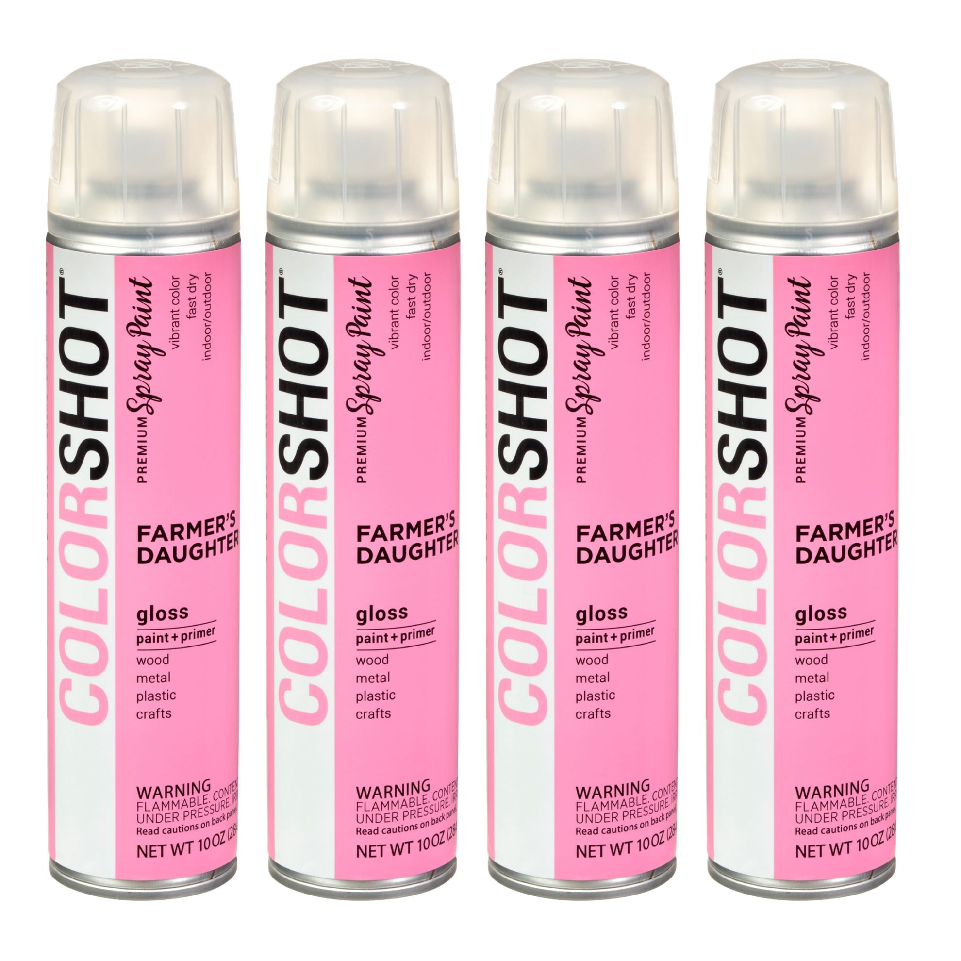 COLORSHOT Gloss Spray Paint Farmer's Daughter (Pink) 10 oz. 4 Pack