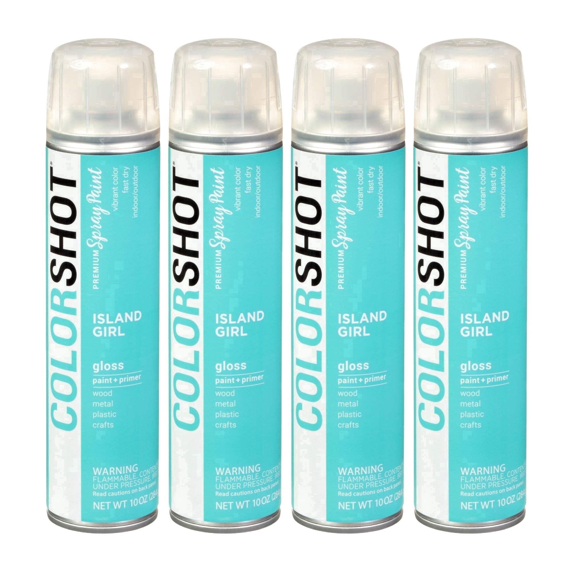 COLORSHOT Gloss Spray Paint, Island Girl (Mint) 10 oz. 4 Pack, Fast-Drying Acrylic Paint, Indoor & Outdoor Use