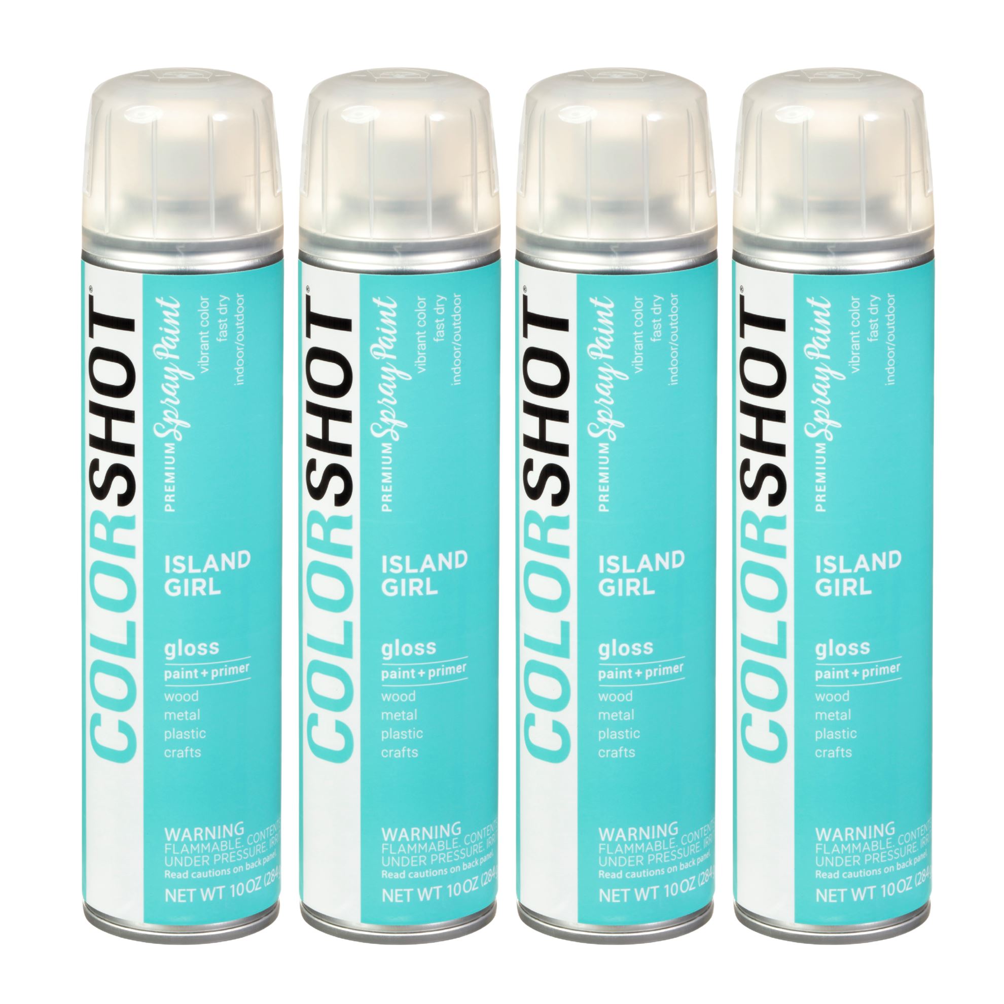 COLORSHOT Gloss Spray Paint Island Girl (Mint) 10 oz. 4 Pack