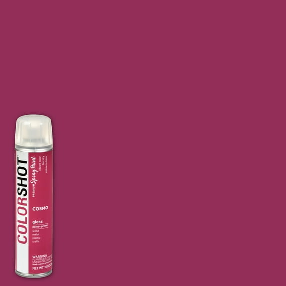 COLORSHOT Premium Multi-Surface Gloss Cosmo Spray Paint - 10 oz - Dark Pink
