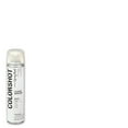 thumbnail image 1 of COLORSHOT Premium Gloss Sealer Spray Paint - 10 oz. - Clear, 1 of 7