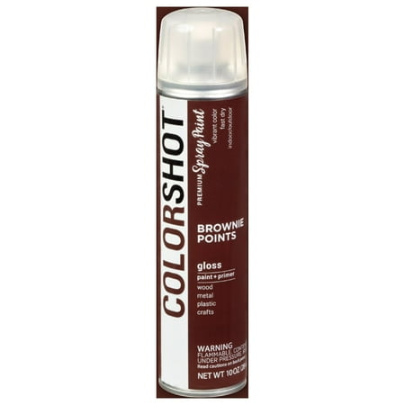 COLORSHOT Gloss Spray Paint, Brownie Points (Dark Brown), 10 oz, Fast-Drying Acrylic Paint, Indoor & Outdoor Use
