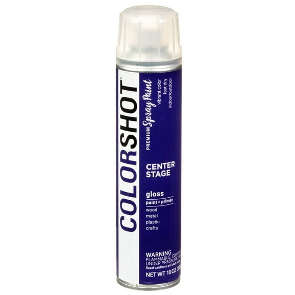 COLORSHOT Premium Multi-Surface Gloss Center Stage Spray Paint - 10 oz - Purple
