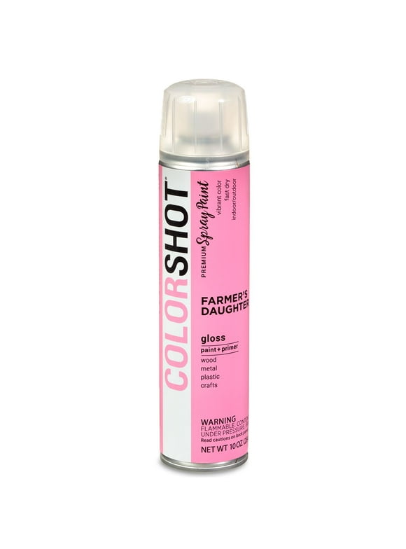 COLORSHOT Premium Multi-Surface Gloss Farmers Daughter Spray Paint - 10 oz - Pink