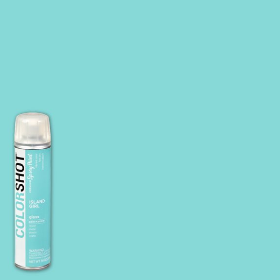 COLORSHOT Gloss Spray Paint, Island Girl (Mint) 10 oz, Fast-Drying Acrylic Paint, Indoor & Outdoor Use