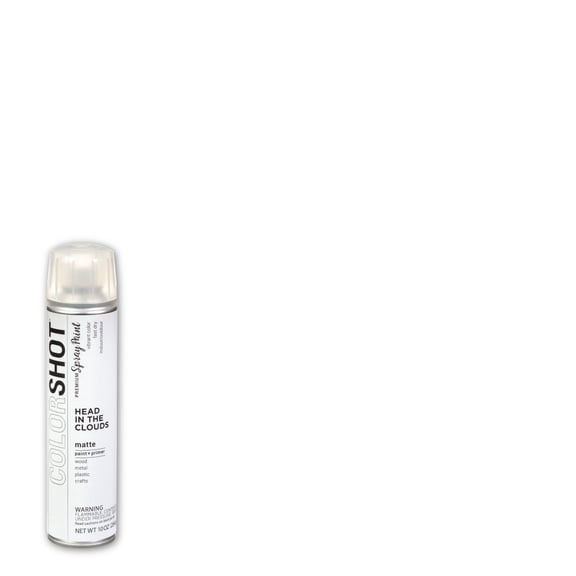 COLORSHOT Matte Spray Paint, Head in the Clouds (White), 10 oz , Fast-Drying Acrylic Paint, Indoor & Outdoor Use