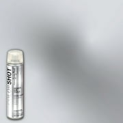 COLORSHOT Premium Multi-Surface Metallic Heads or Tails Spray Paint - 8 oz - Silver