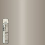 COLORSHOT Premium Multi-Surface Metallic Princess Cut Spray Paint - 9 oz - Nickel