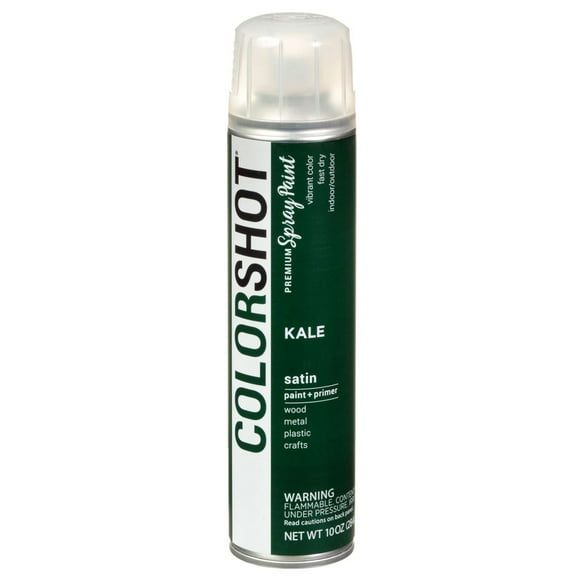 COLORSHOT Premium Multi-Surface Satin Kale Spray Paint - 10 oz - Dark Green