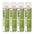thumbnail image 1 of COLORSHOT Satin Spray Paint, Extra Guacamole (Avocado) 10 oz. 4 Pack, Fast-Drying Acrylic Paint, Indoor & Outdoor Use, 1 of 11