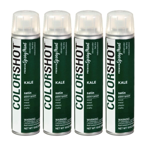 COLORSHOT Satin Spray Paint Kale (Dark Green) 10 oz. 4 Pack