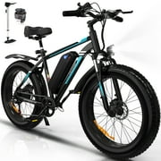 COLORWAY 26*4.0 Fat Tire E bike, 750W Electric Bicycles 15.6AH 48V Mountain Electric Bike for adult UL 2849