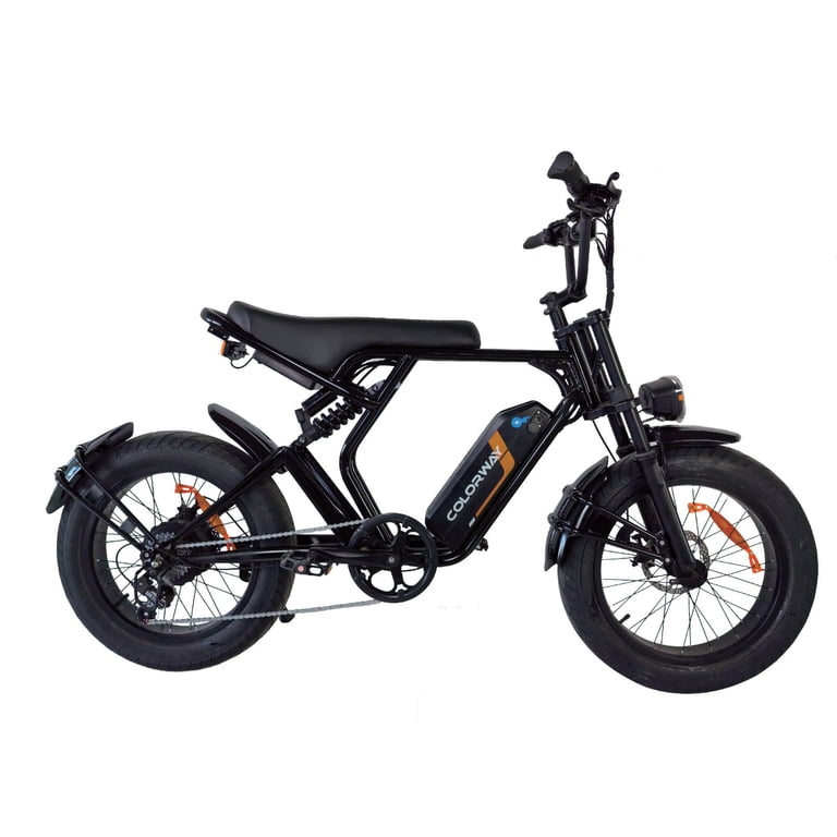 COLORWAY 750W Electric Bike for Adults,20X4.0 Fat Tire Off-Road E