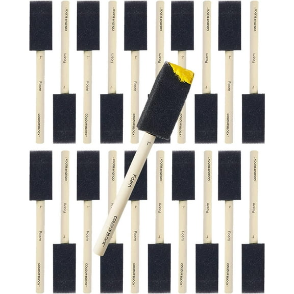 COLOUR BLOCK 25pc Sponge Brush Set for Painting