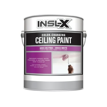 COLR CHNG CEILNG PNT 1G (Pack of 1)