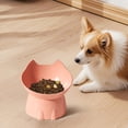 thumbnail image 1 of COM1950s 15° Tilted Anti Spill Pet Bowl,Non Slip Dual Food Water Dish,Heavy Base Feed Bowl for Dogs Cats with Spine Protection, 1 of 9