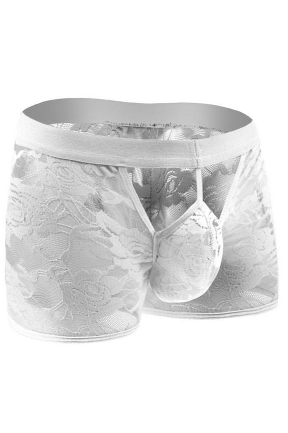 Briefs for Men Briefs Transparent Shorts Mens Underpants Mens Lace Trunks Sexy Underwear For Man