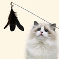 thumbnail image 1 of COM1950s Cat Teaser Wand,Interactive Feather Toy with Bells and Catnip,19 Inches Durable Spring Play Stick for Indoor Cats Exercise,Replaceable Feathers Cat Toy, 1 of 9