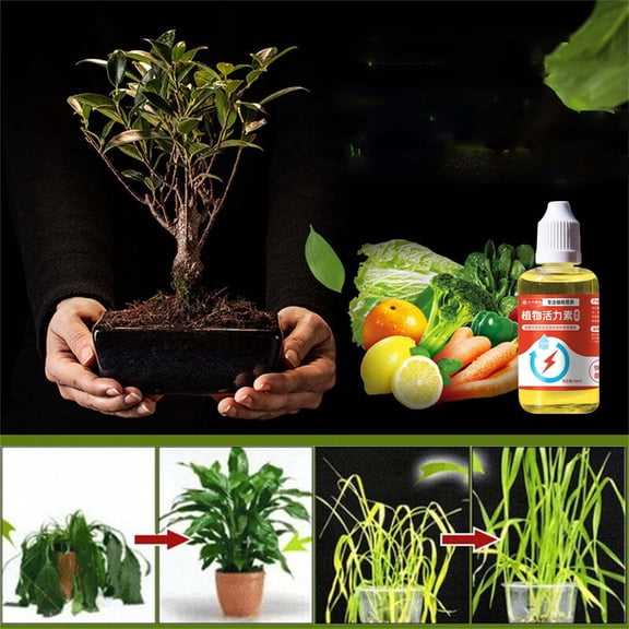 COM1950s Plant Growth Enhancer, Concentrated Universal Liquid Plant Food, 1.69 Fl Oz