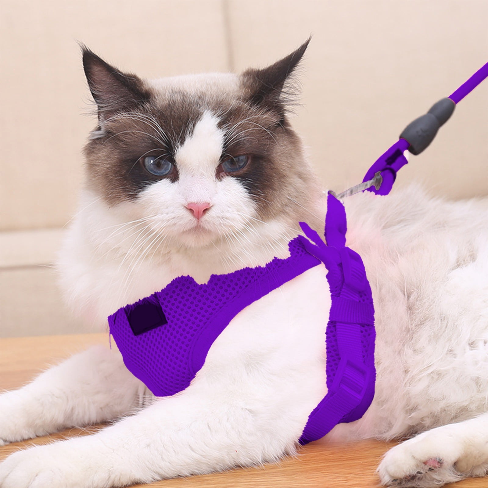 Photo inspiration: Picture Idea: Com1950S Reflective Safety Pet Harness And Leash Set Breathable Mesh
