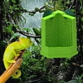 thumbnail image 1 of COM1950s Reptile Cricket Feeder with Suction Cups,Climbing Ladder and Escape-Proof Design for Lizards,Frogs,Geckos - Fits Glass Terrariums and Rainforest Tanks (2 Sizes), 1 of 9