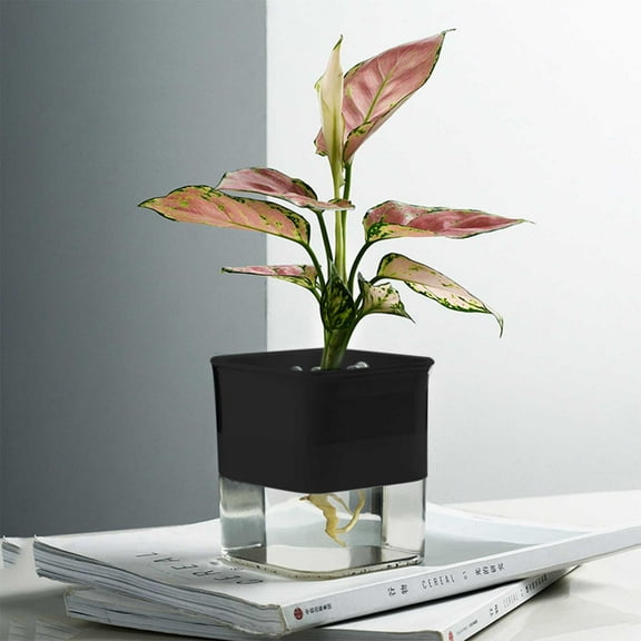 COM1950s Self-Watering Planter- Self Watering Pots for Indoor Plants,Clear Plastic Automatic-Watering Planter Flower Pot Square-Plant-Pot for All Plants,Succulents,Herb,African Violets,Flowers (4X4In)