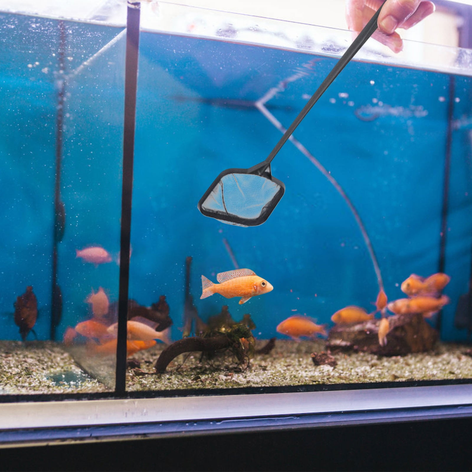 COM1950s Square Mesh Pocket Copying Net Goldfish Ornamental Fish Net ...