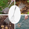 thumbnail image 1 of COM1950s Stainless Steel Garden Rake and Leaf Rake,15.6 Inch Wide 8-Tine Heavy Duty Rake,Carbon Steel Head for Seaside,Yard,Sand,Soil,Leaves,Multi-Purpose Lawn Tool, 1 of 9