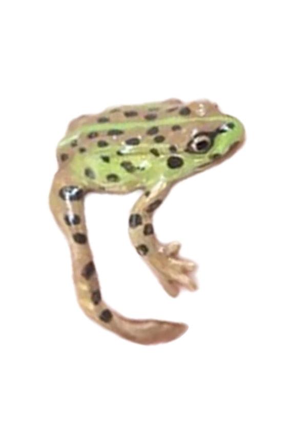 Frogs Ring, Fashionable Frog Rings Adjustable Open Rings High Polish Alloy Jewelry for Men and Women Stylish Party Ornament