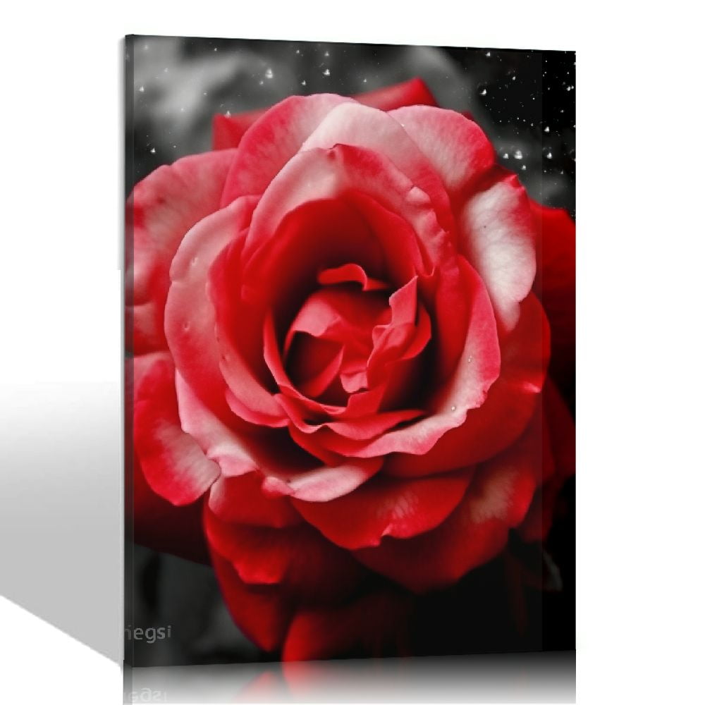 COMIO Abstract Wall Decor Oil Painting on Canvas Vintage Red Flower Unframed Canvas Wall Art For